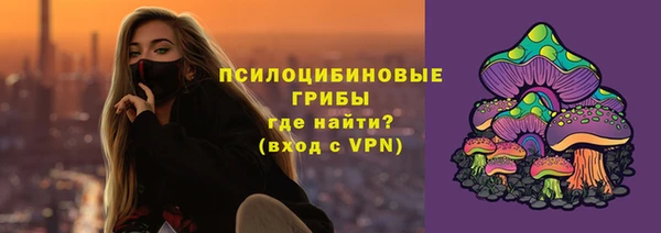 spice Абаза