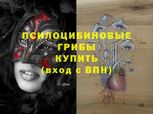 гашик Алексеевка