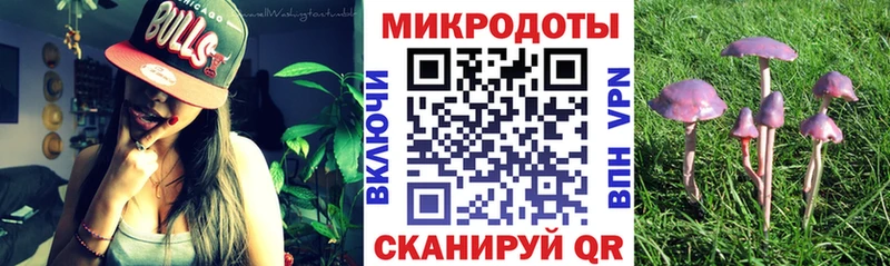 omg маркетплейс  Одинцово  Галлюциногенные грибы Cubensis 